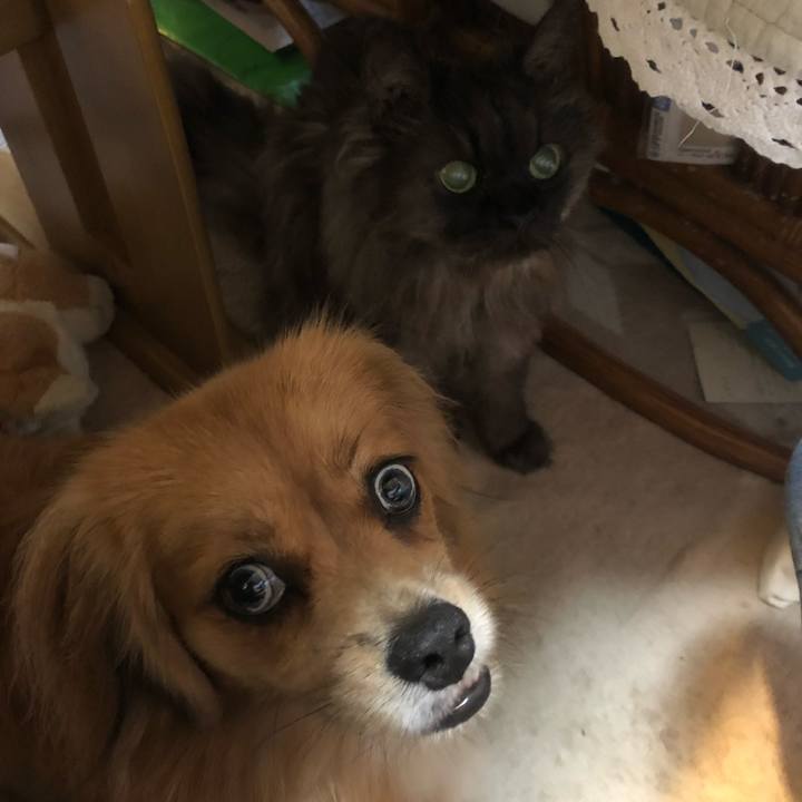 2fbfbae6 d130 4a26 802b 07c5a3be72ec 1534375458587