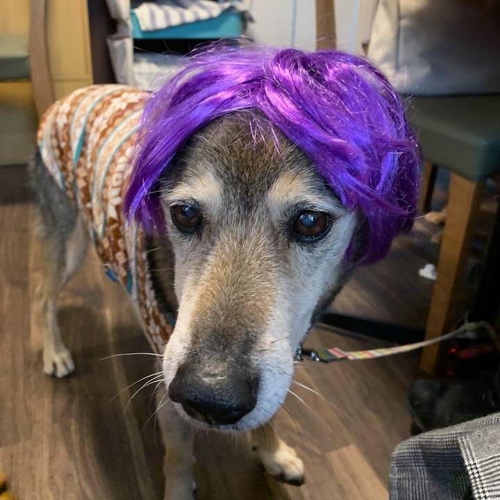 2fbfd068 77cf 4337 a6fa b16fe12dd1c9 1577022326161