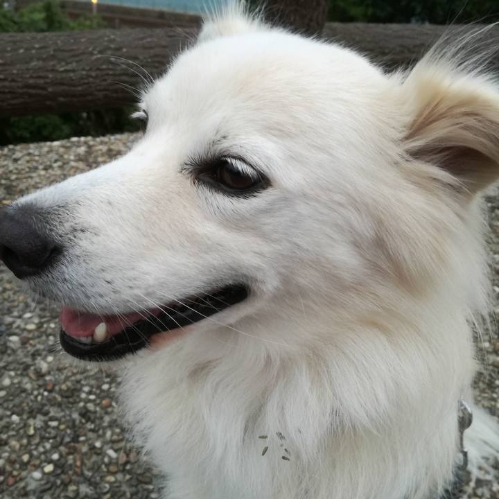 2fbfd8b4 8fac 46a9 a6fc c17b6889ee65 1507800203787