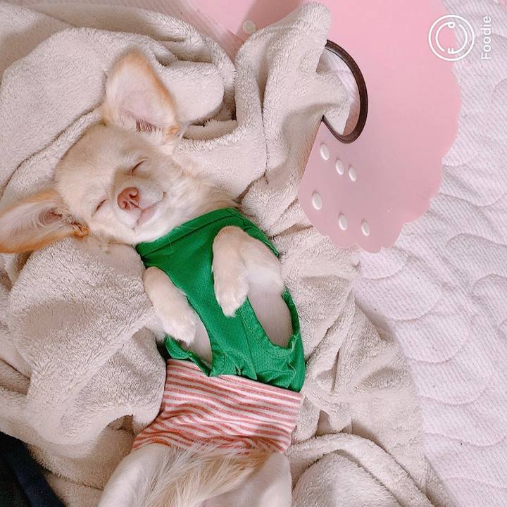 2fbfea44 812e 4124 9e1f 0c656dfac443 1598839180359