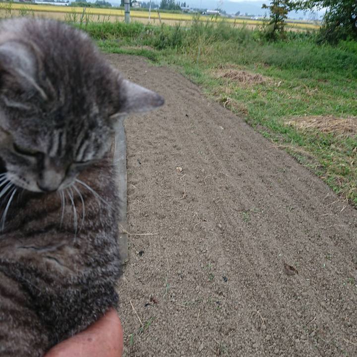 2fc0a5af d2b2 4623 a2d5 e9a3cc64c42a 1569054580474