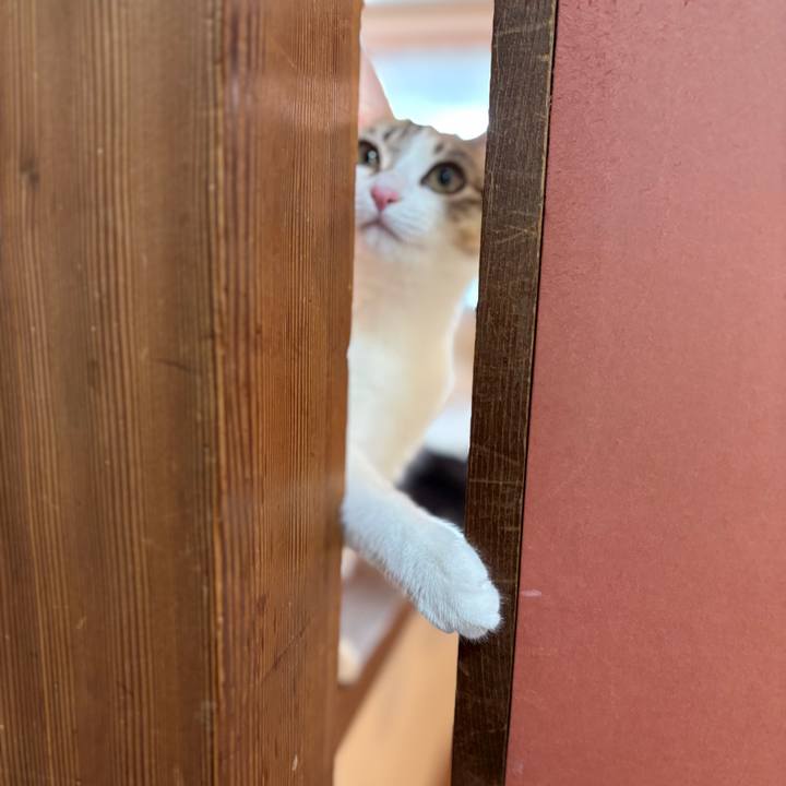 2fc0ad13 8bf1 42c5 92a3 9586fb8ab9e1 1768360916087