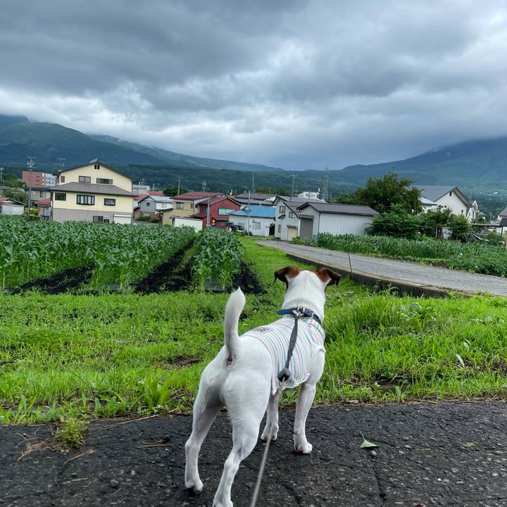 2fc0ae9c 65f4 47af 8dea 05deb1d81a4b 1625809673526