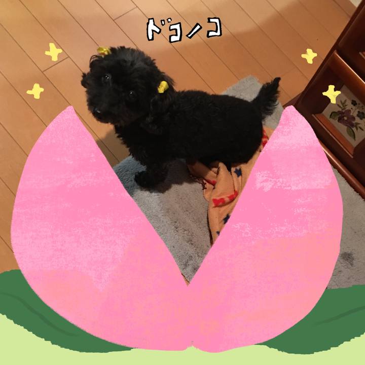 2fc0f228 2008 4bda ac7a bfaa120cd68a 1772492103997