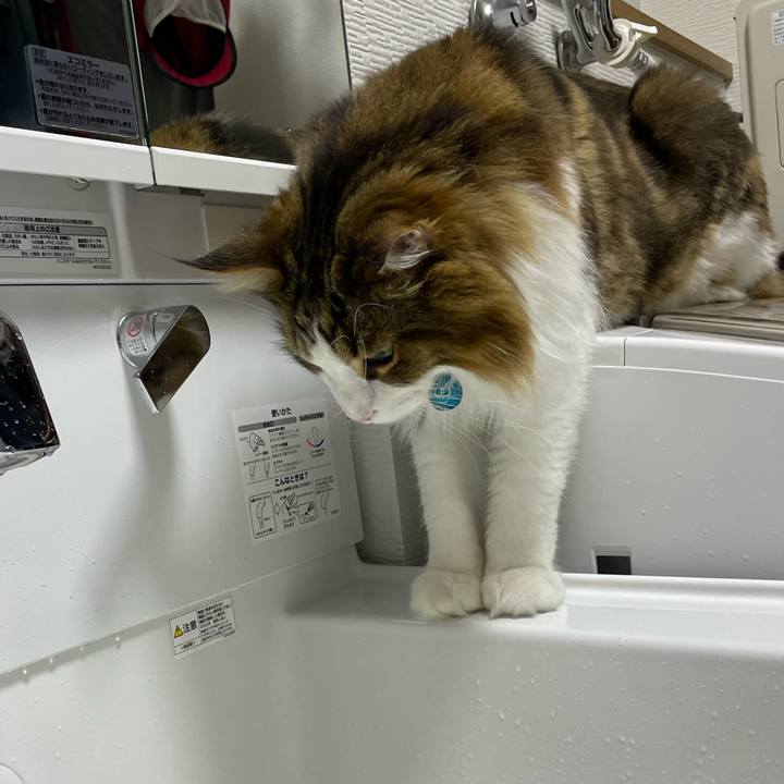 2fc146cf f7df 435a a942 771b15416ded 1724182945998