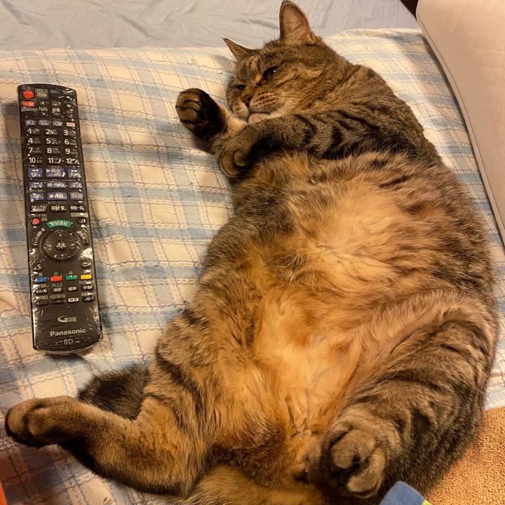 2fc17ef0 5cff 4125 86cf e0894f25f0e7 1654423753451