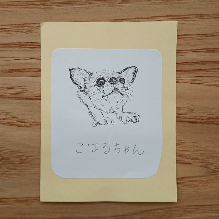 2fc1bafd 141f 4c49 b18e 9da1df238d63 1613778810301