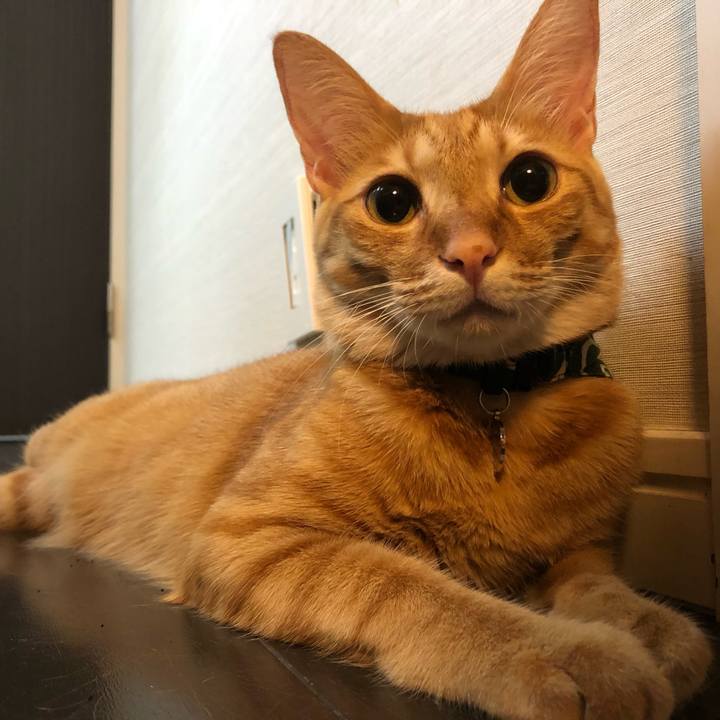 2fc21442 cc9f 4d6a 926e c466b9661417 1633120414382