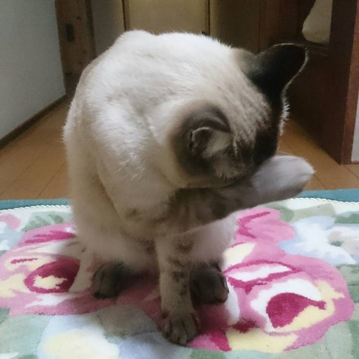 2fc25fdd 9719 4382 9def 3bb143324e37 1510661345691