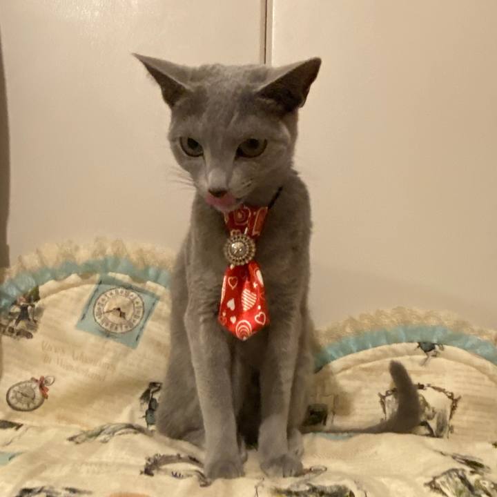 2fc2f52c 45e0 44fc af63 30cb023fcc44 1707346765304