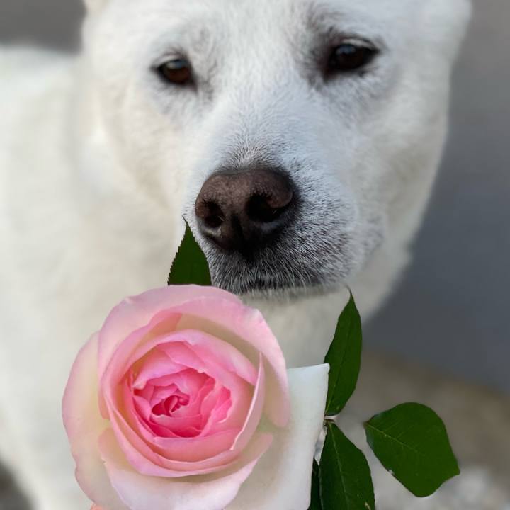 2fc2f6b3 b02d 4864 90e5 e375588fa1ab 1683603242784