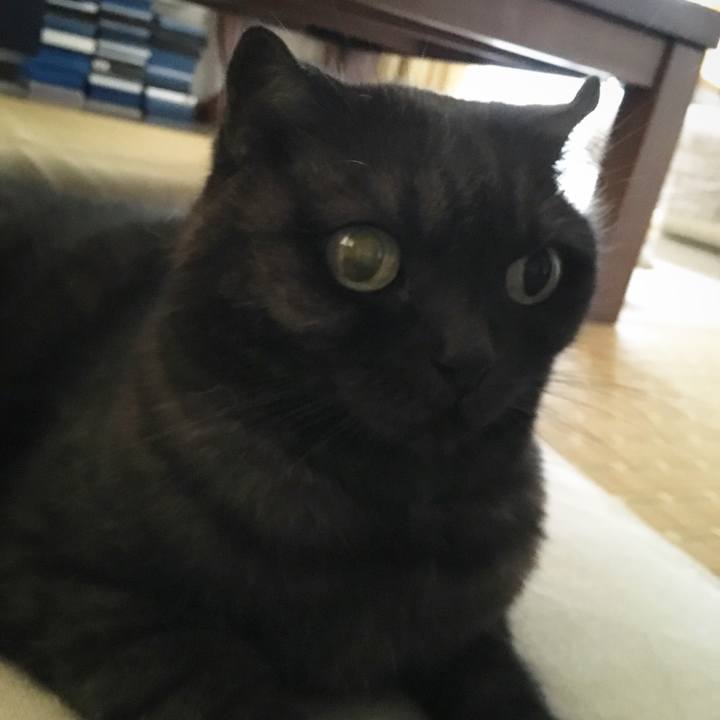 2fc2f6fc 2cc2 4c32 81cc 302dad8e7601 1533774395586