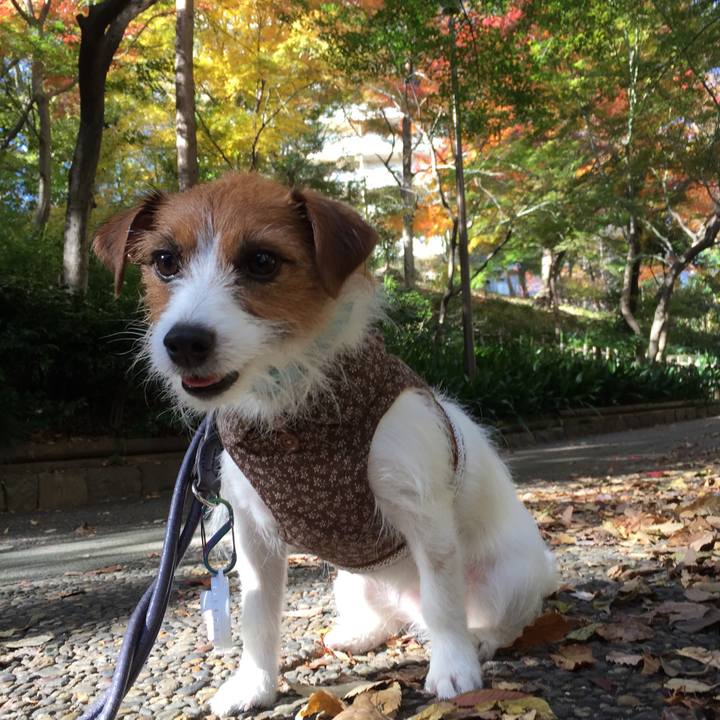 2fc2fe5f d08b 4550 97b0 854dade92804 1511956429095