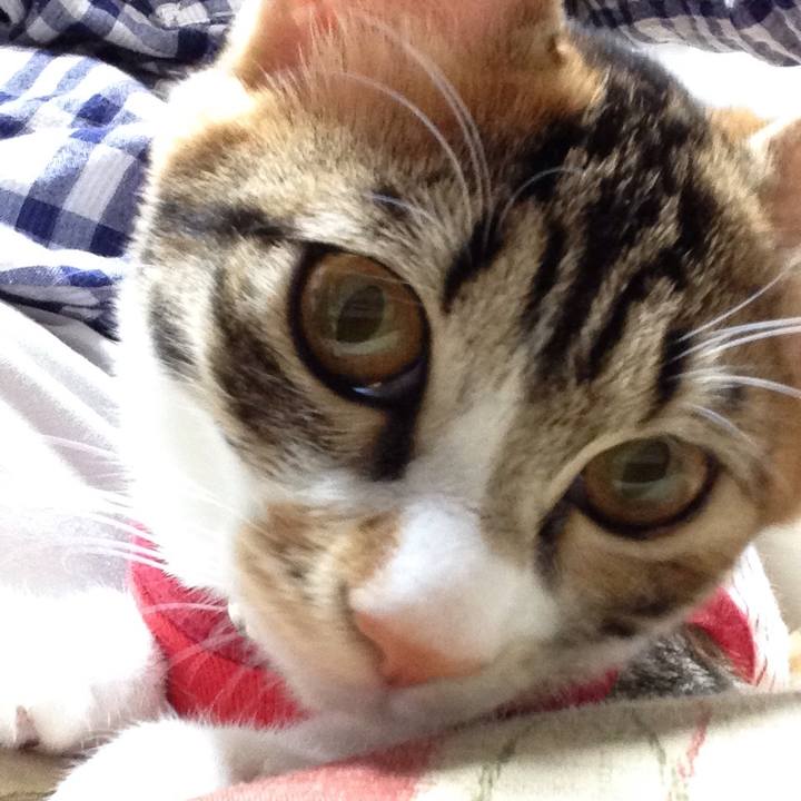 2fc31653 858e 4656 b361 9ef2a789f7e6 1634814710401