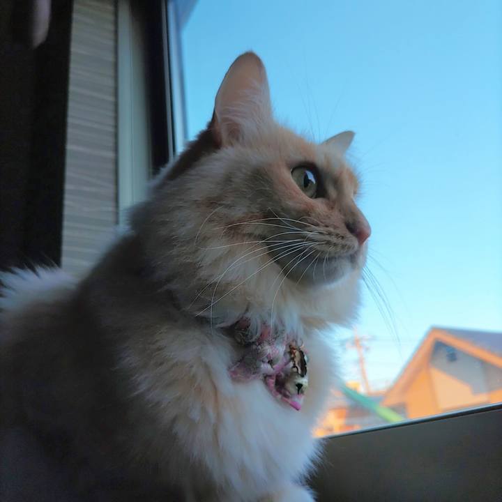 2fc31fdc b6f8 4332 afe5 905e23a53715 1667864827164