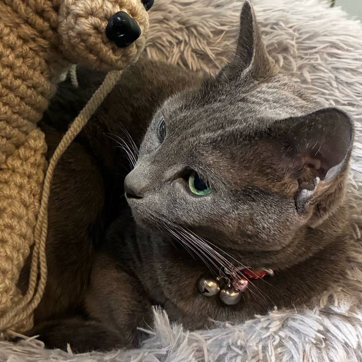 2fc320f8 5c4f 4e32 b9c2 1878b2a20c3e 1767698798109