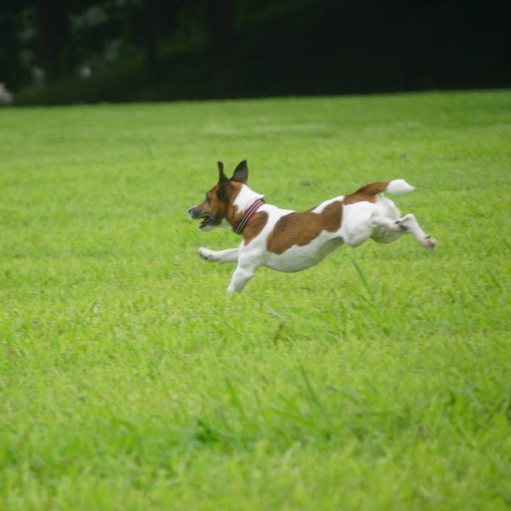 2fc3258f 2b4d 408a b70e 6172396d1e94 1564354145943