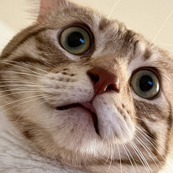 2fc32db9 acd4 4442 9d70 d9aadbf5beee 1671785082255