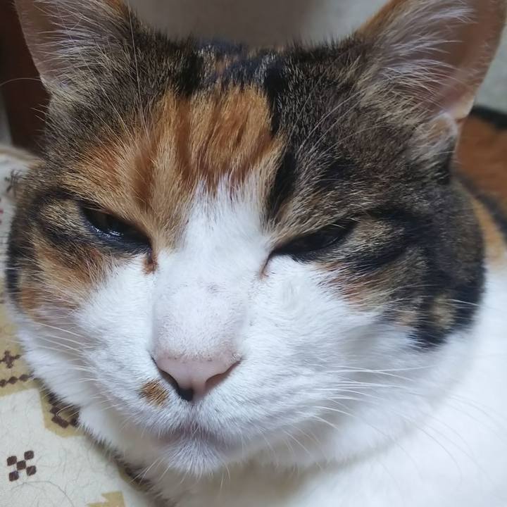 2fc3466c 07b3 4832 b16c b995141e61ac 1566008882969