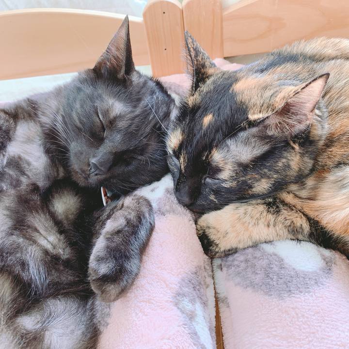 2fc3600c 988f 4d38 90f9 f1ee1414b648 1558153376945