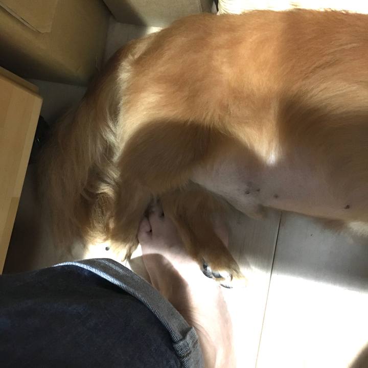 2fc364a4 e20d 445d 8cc1 b1b5daa3ab54 1589886107976