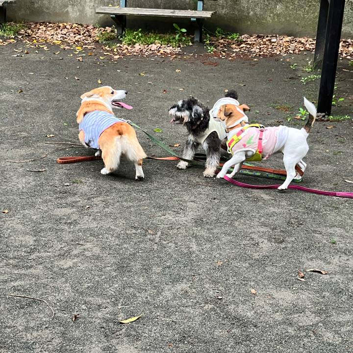 2fc37408 e68e 49fb a829 3f95ea7df92e 1714217162147