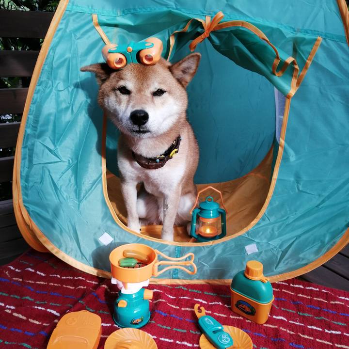 2fc37ece a55f 4fe3 8f27 3cbdcbdb0199 1627544569876