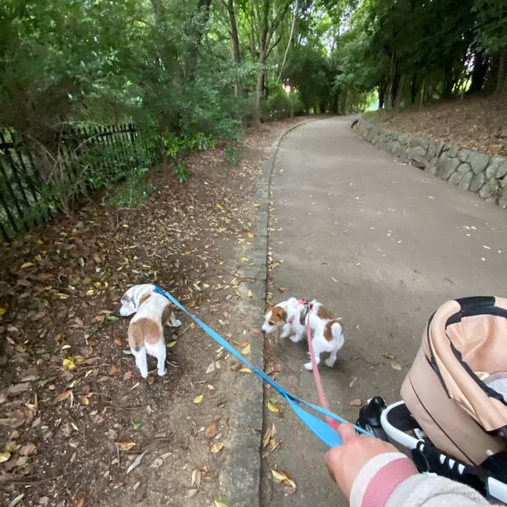 2fc37efc 33ca 4142 84c1 4e74d266333e 1716726351963