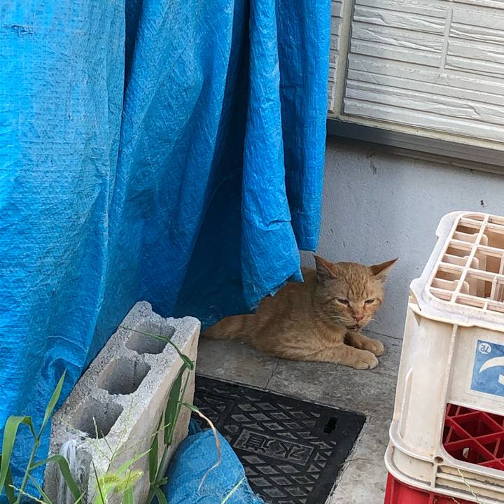 2fc39e84 65c5 4ebc a972 a99792a3496f 1565554673271