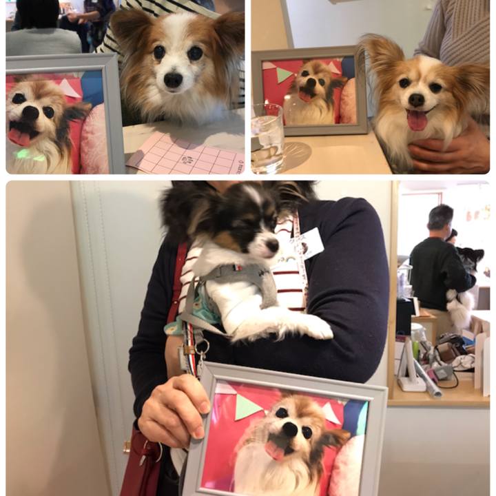 2fc3a594 ff50 44bb bb98 baaa64c01309 1548588297872