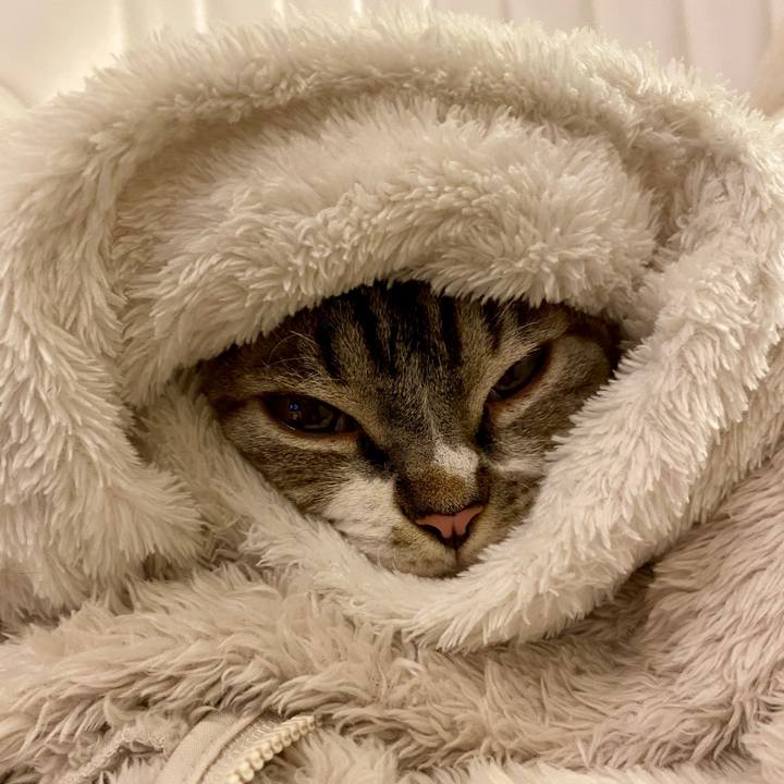 2fc3ad1c ee9e 4f79 a9e0 8997b2ee4a1d 1641220717816