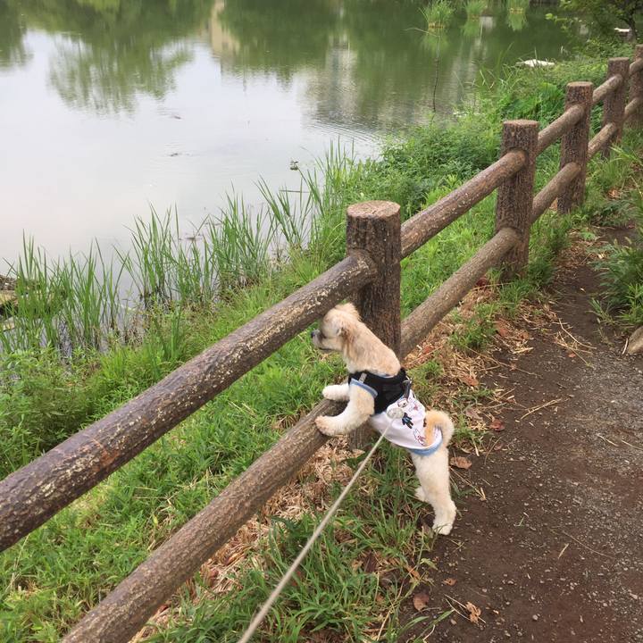 2fc3de18 6f03 4b43 b511 bfdd227ba0d9 1535795838534