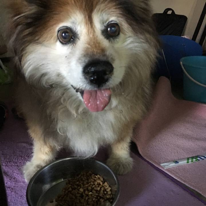 2fc4176f e826 4eb6 b828 9d1293426f23 1600063588076