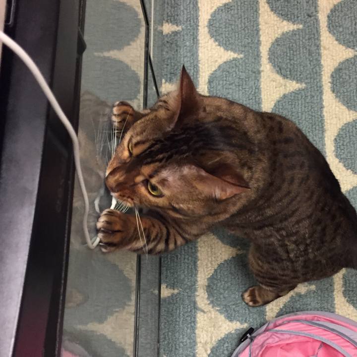 2fc41a3f 5628 437f 8448 587d4da54b27 1526688815948