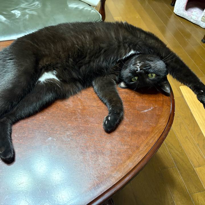 2fc43618 cf4c 4cd6 ad50 3db2fc5a7c06 1757068719624