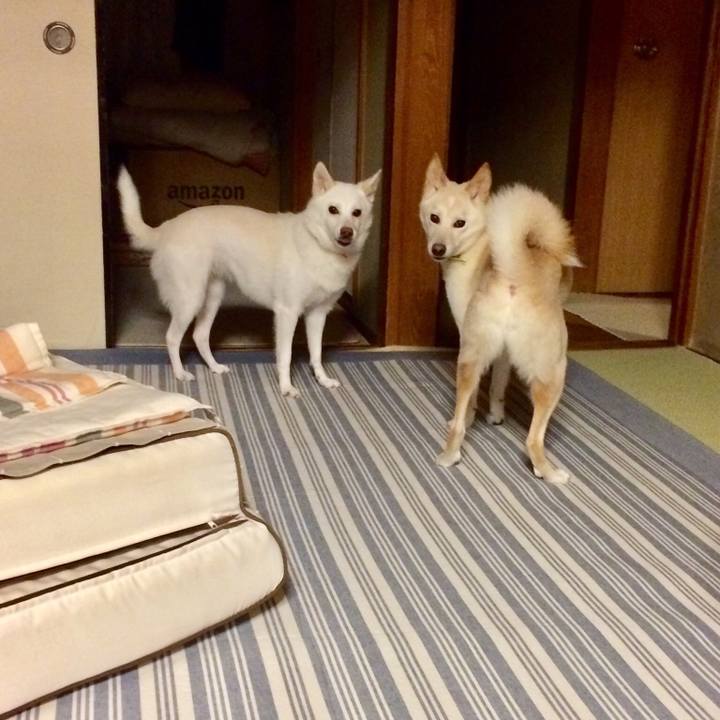 2fc4456e f15f 4c11 8e7c ecfd424235ef 1537267905066