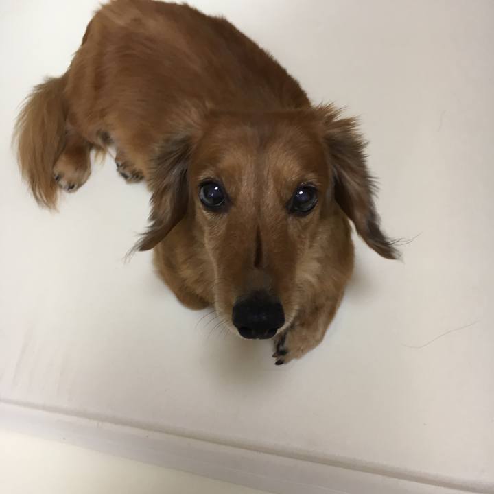 2fc4611a 1c26 49ec a8f9 ad7350dd0130 1535548833106