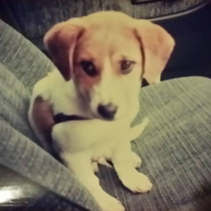 2fc46ace 7c16 4ff2 a672 dc7cf8d69d74 1515576954662