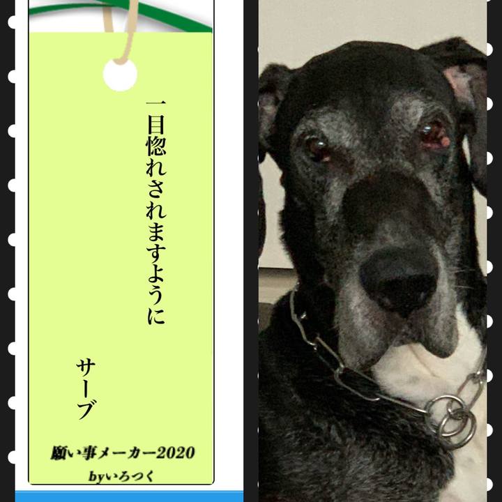 2fc4aedc f9b9 43f4 ad56 4c86938ca882 1594109209932