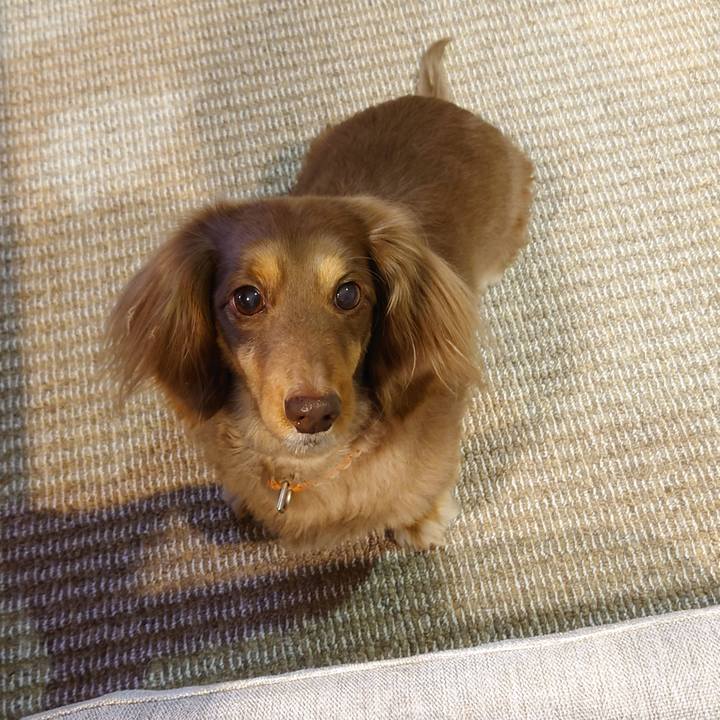 2fc4b559 9944 4fcc b1fc 61c4347f7f1d 1676775526096