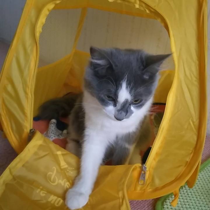 2fc4bf5c 9781 485d ad40 d5e9a478f17d 1568849062134