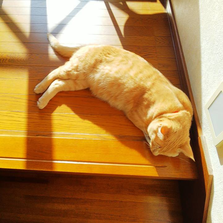 2fc4cda3 f62e 459b b8d3 4f4e5094f0e1 1573965731940