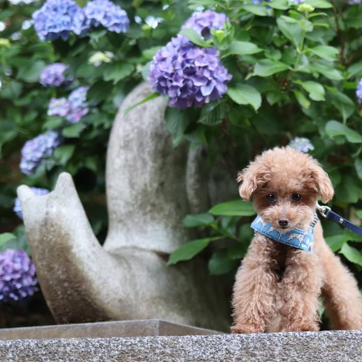 2fc4cf1f fe6e 4195 a304 657259662db8 1591882833794