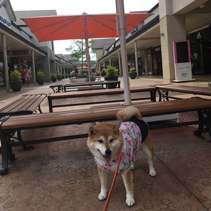 2fc4edb4 2e8a 4d80 ac55 37f3d96368a4 1563435336332