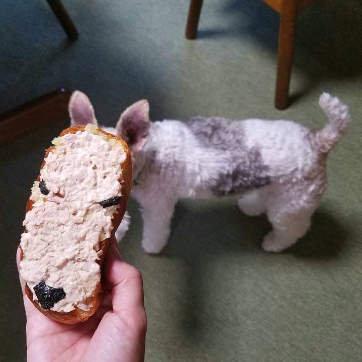 2fc4ffd2 da41 4ffb 87e4 0f49e1d71ffc 1566693559284