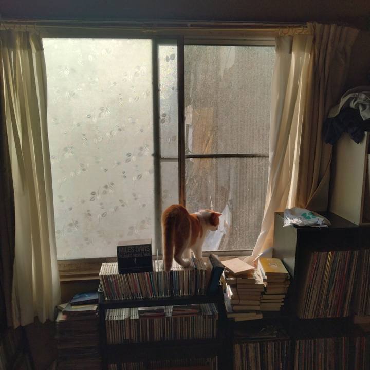 2fc511bb 3126 4b42 9753 f0c39821dffd 1750462658748