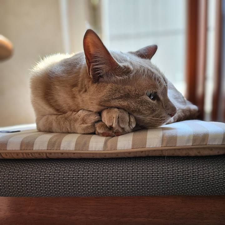 2fc53edf 81d9 466e 80b2 7edc47b5b727 1717828899424