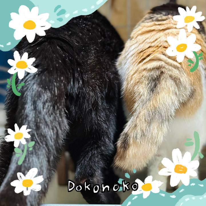 2fc5fa10 6f0b 47ba a7b9 18c029d9c0ba 1712541002245