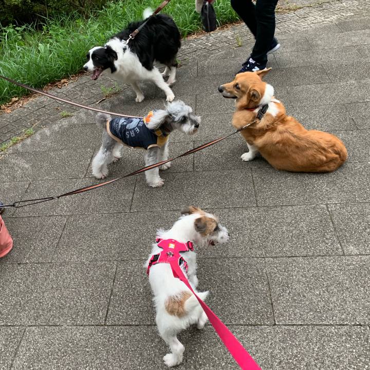 2fc6123d c933 4b06 9f9f 0433ef298eb1 1567503023094