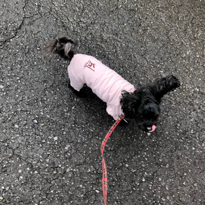 2fc61c69 5952 44ed ab3f dd4826c38c2b 1586003334952